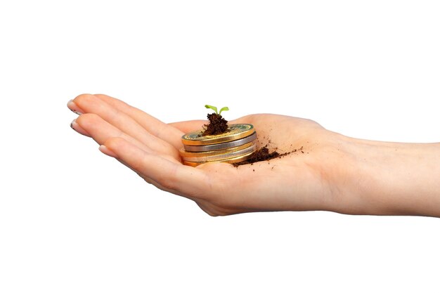 Financial Literacy: Empowering Your Future Through Money Management