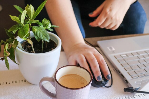 A plant on a desk with a person typing on the computer while drinking a cup of coffee.