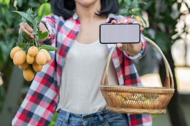 A close-up shot of a SNAP EBT card being used at a farmers market, with fresh produce in the background. This image emphasizes the use of SNAP for accessing healthy, locally sourced food.