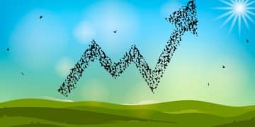 Investing in Small-Cap Stocks: Can They Beat Large-Caps by 5%? - Cover Image