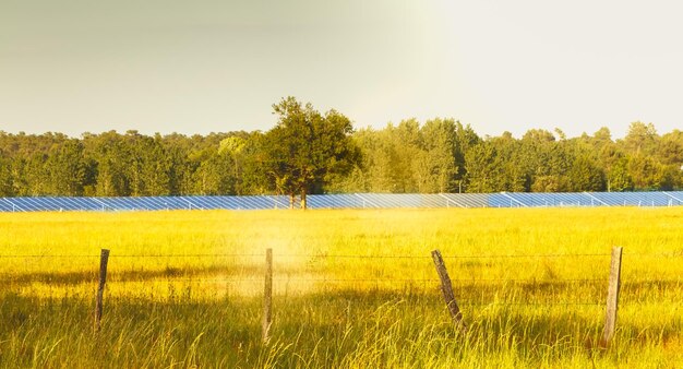Renewable Energy Investment: US Market 5-Year Growth Forecast